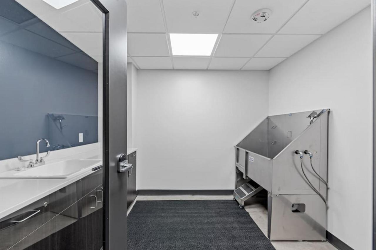 Journal Commons 424 Historic Hidden Gem 1 Bedroom High Speed Wifi Gym Apartment