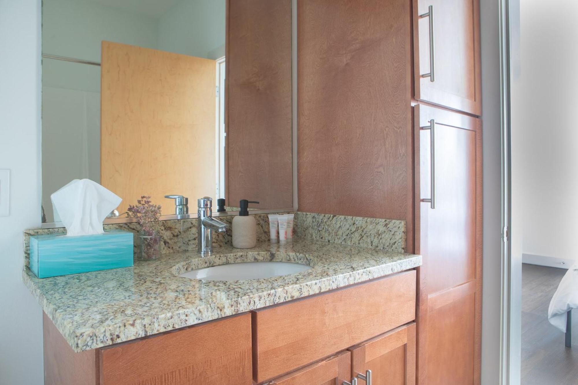 Flexhome East Side 2Br Cg1 - With Gym, Balcony, And Lakefront View Milwaukee