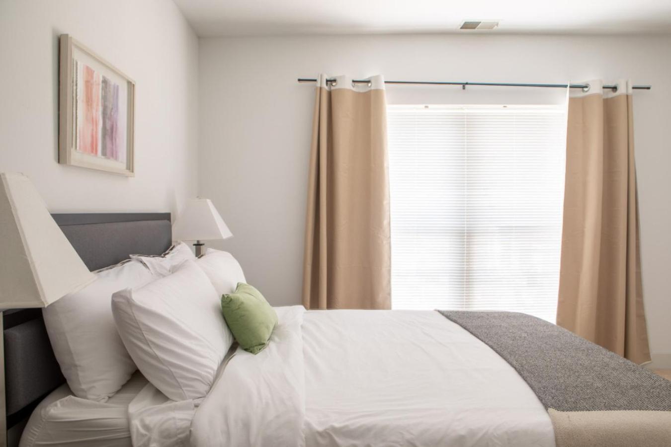 Flexhome Third Ward 1br J1 With Gym And Balcony Apartment