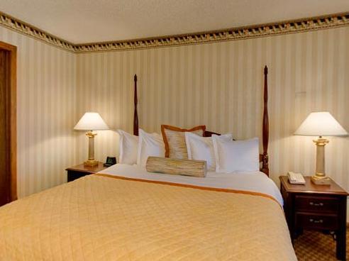 Hotel Wyndham Airport & Convention Center 3*